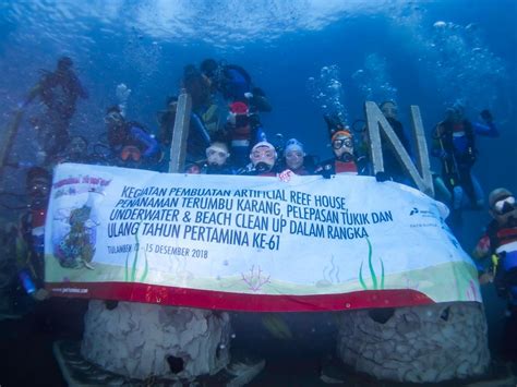 Hut Ke Pertamina Diving Club Tanam Terumbu Karang Di Pantai Tianyar