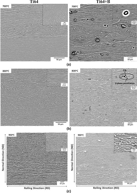 Sem Micrographs Bse Mode Showing Microstructures Of Rolled Specimens