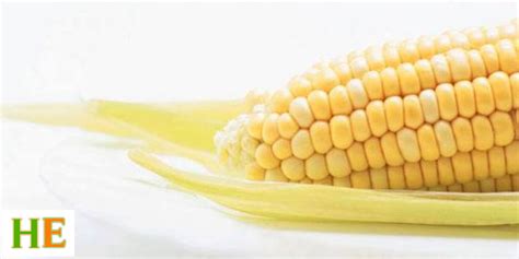 Health Benefits of Maize Meal