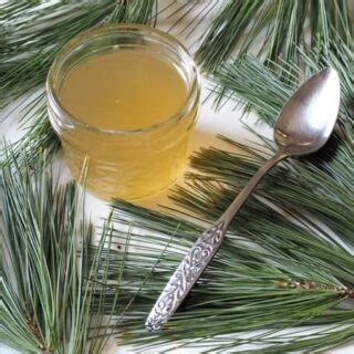 Pine Syrup Recipe 2 Delicious Ways To Make It