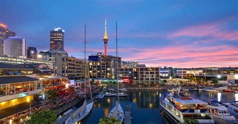 IP Wealth Auckland