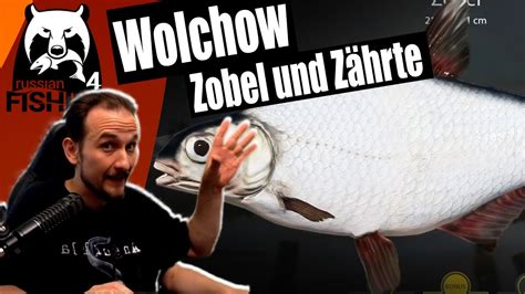 Russian Fishing Wolchow Zobel Und Z Hrte Spot Youtube