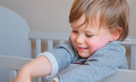 Guía Completa Sobre Cunas Para Niños Y Cuándo Es El Momento Adecuado