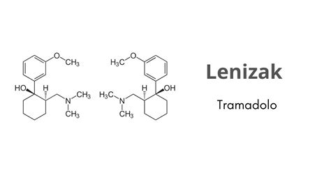 A Cosa Serve Il Lenizak Torrinomedica