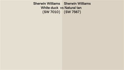 Sherwin Williams White Duck Vs Natural Tan Side By Side Comparison