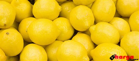 Info Terbaru Harga Lemon 1 Kg Di Pasaran Lokal Dan Impor Daftar