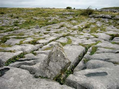 Physical Weathering Examples For Kids