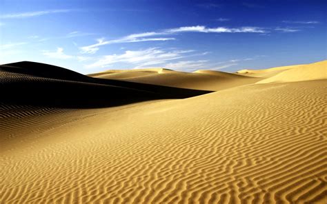 Sahara Desert Wallpaper X