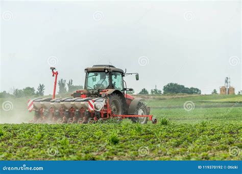 Farmer Seeding Sowing Crops At Field Stock Photo Image Of