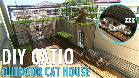 Diy Building My Cat An Outdoor House Catio Patio For Cat Youtube