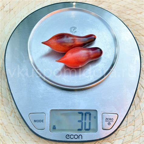 Купить семена томата сорт Кумкват Розовый опал (Kumquat Pink Opal)