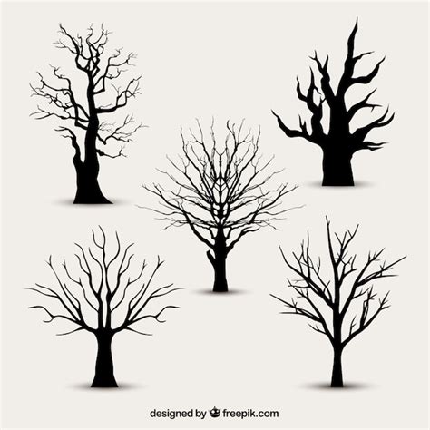 Premium Vector Tree Silhouettes Without Leaves