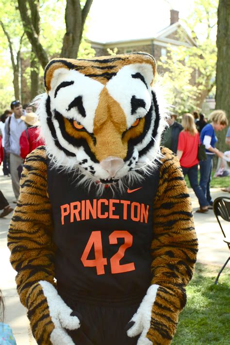 Princeton Tigers mascot | Mascot, Princeton tigers, Sports logo