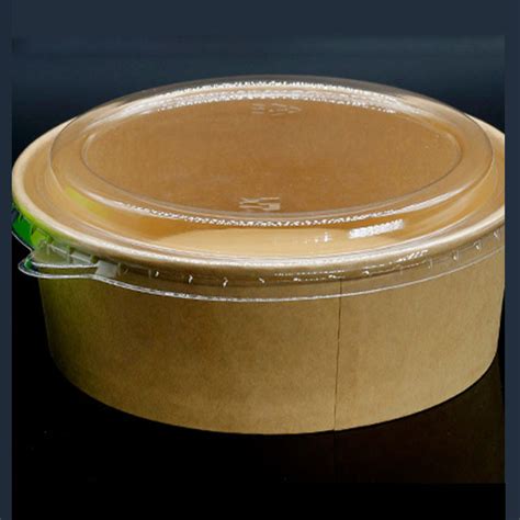 100 Biodegradable Disposable Food Packaging Takeaway Takeout Cardboard