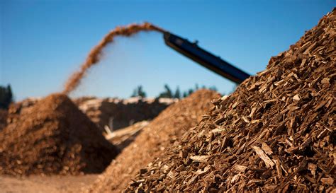 Burning Woody Biomass In Power Plants Could Reduce Carbon Uga