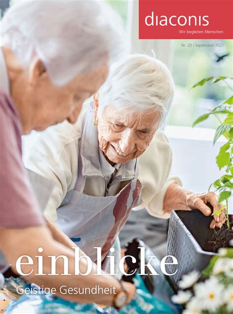 Einblicke Nr Geistige Gesundheit Diaconis