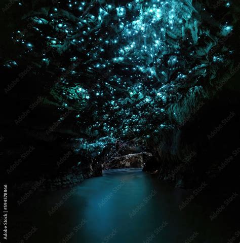 Glow Worm Caves Hd