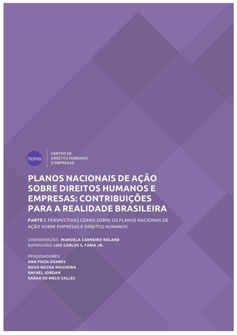 Pdf Planos Nacionais De A O Sobre Direitos Humanos E Homacdhe