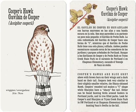 Cooper's Hawk Printable Gift Card