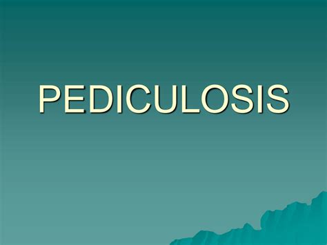 Solution Pediculosis Parasitologia Studypool