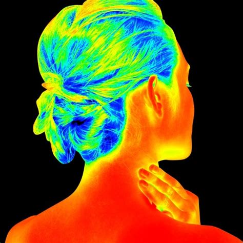 Thermal Imaging | Let's Talk Science