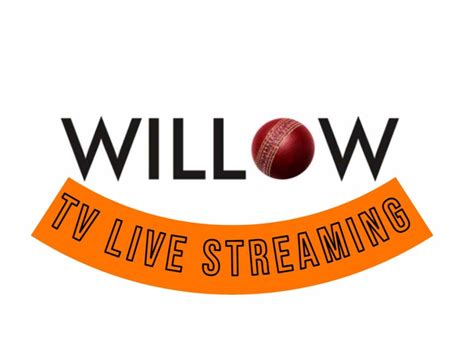 Willow Cricket Interior Works In Hubli