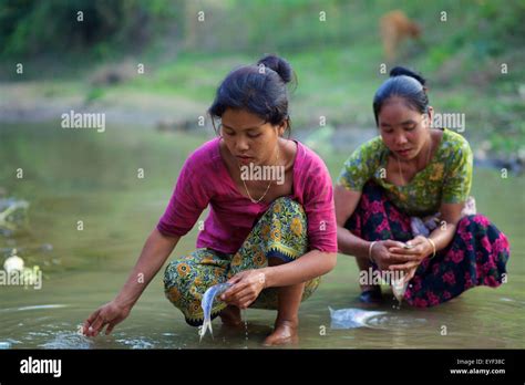 Chakma Women Cleaning Fish Khagrachari Chittagong Division Stock