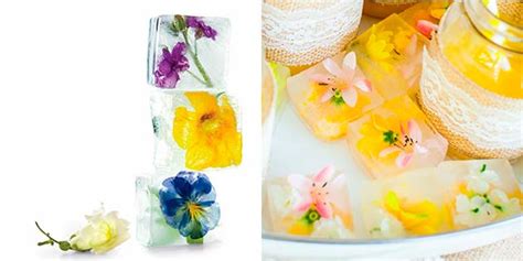 Cubos De Hielo Con Flores Una Idea Diy Perfecta Argyor Mx