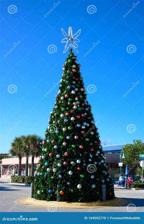 Christmas in Fort Lauderdale Florida Stock Photo - Image of fort, cheer ...