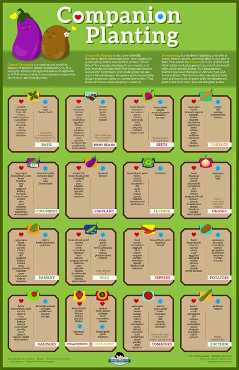 Companion Planting Guide Chart