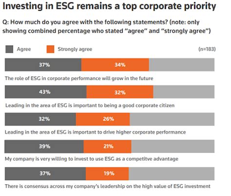 How To Identify And Avoid Esg Greenwashing In Your Reports