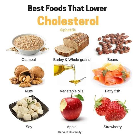 Best Foods For Lowering Cholesterol - WEDINGPOKA