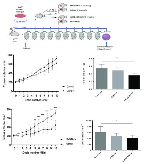 Systemic Treatment Of Nude Mice Xenografted With CAPAN 2 Cells The