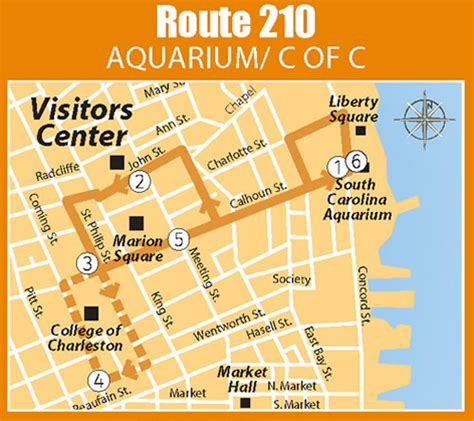 Fun Things To Do In Charleston Sc Dash Downtown Area Shuttle In