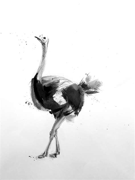 Animal Ink series on Behance