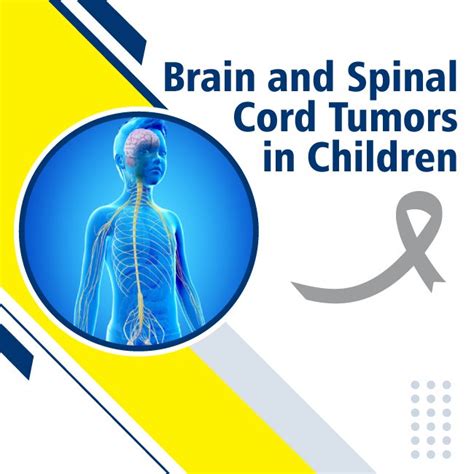 Brain And Spinal Cord Tumors In Children Uhapo