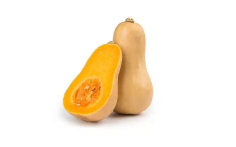 Organic Butternut Squash I Organic Fruits And Vegetables I Ripe Organic