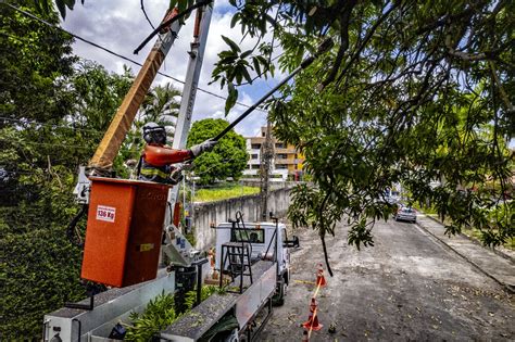 Equatorial Realiza Mutir O De Poda E Manuten Es Preventivas Em Caxias