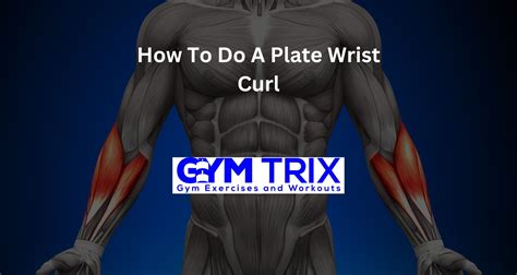 How To Do A Plate Wrist Curl Benefits Proper Form And Tips Gym Trix