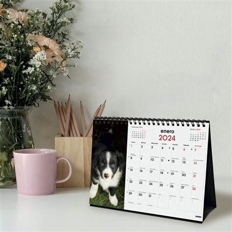 Calendario Sobremesa A O Im Genes S X Cachorros Finocam