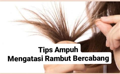 Tips Ampuh Mengatasi Rambut Bercabang Yang Bikin Kurang Percaya Diri