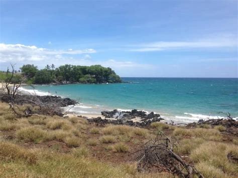 Platform And Wall Picture Of Spencer Beach Park Waimea Hawaii