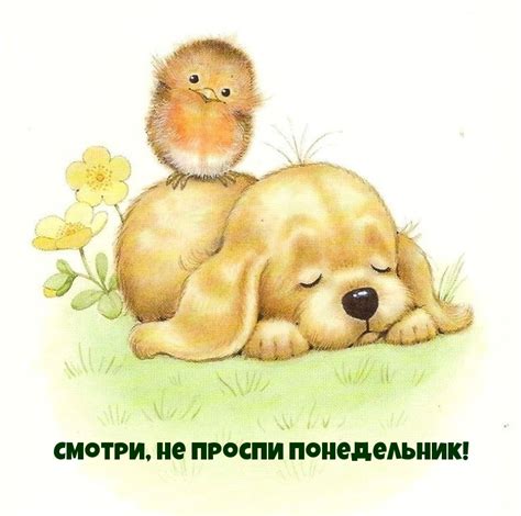 Картинки с надписями. Смотри, не проспи понедельник!.