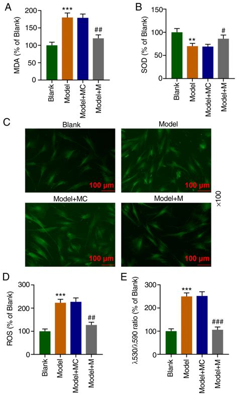 High Expression Of Mir 122 5p Reduces The Levels Of Ros And Mda And