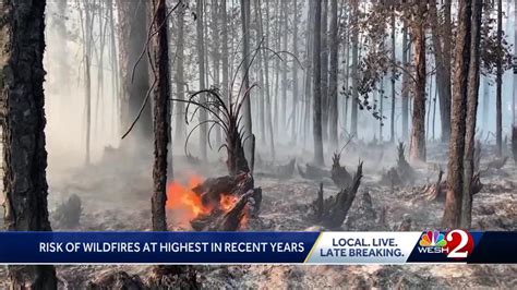 Florida Sees Increase In Risk Of Wildfires Experts Say