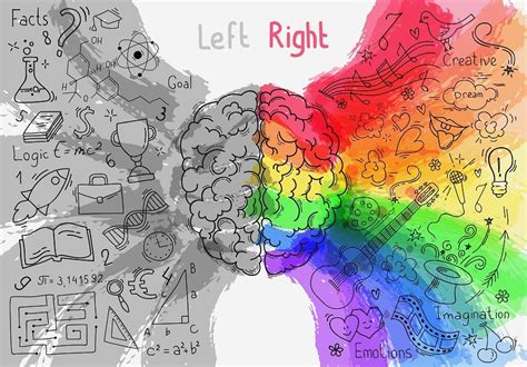 Left Brain vs Right Brain in ADD/ADHD - Integrative Brain and Body