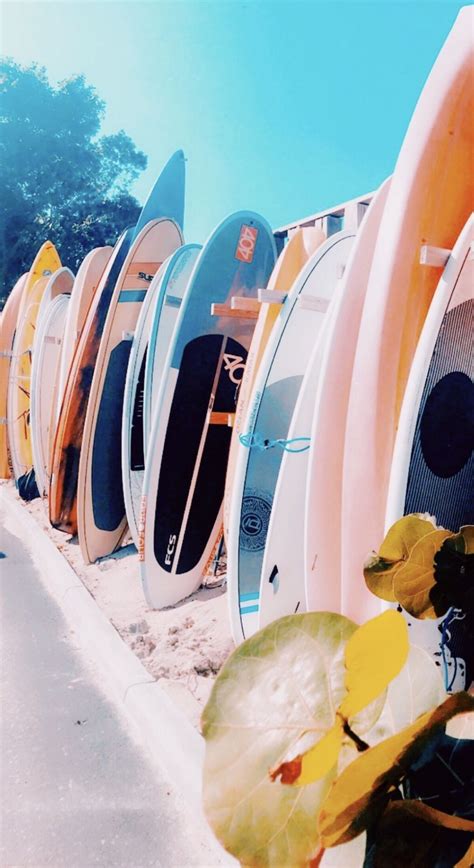 Vsco Beachymood Beach Wall Collage Vsco Pictures Surfing