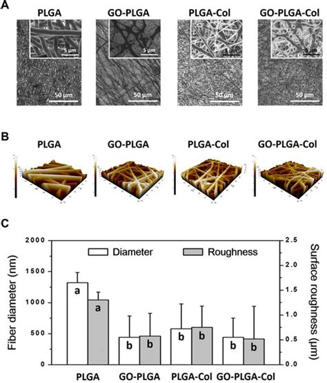 surface morphological  topographical images  plga  plga