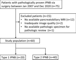 Intraductal Papillary Neoplasm Of The Bile Duct Diagnostic Value Of