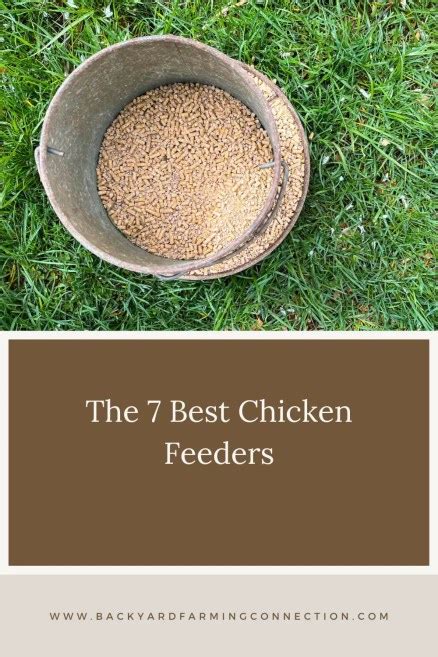 7 Best Chicken Feeders For Your Flock The Backyard Farming Connection